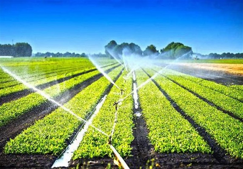 100 میلیون دلار تجهیزات آبیاری محصولات کشاورزی صادر شد