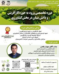 بازار رمزارزها روی ریل صعود/ بیت کوین به بالای ۹۰ هزار دلار رسید