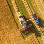 آخرین وضعیت محصولات استراتژیک در خراسان شمالی/ 97 هزار هکتار گندم دیم کاشت می‌شود