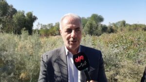 احمدی: ۳۵۰ میلیون اصله نهال در کشور غرس شده است