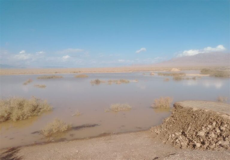 باران رحمت در خراسان جنوبی؛ آزمون سخت طبیعت، بدون تلفات جانی