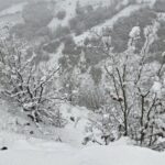 بارش برف در فریزهند نطنز رکورد زد/ ارتفاع برف به 70 سانتی‌متر رسید