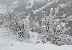 بارش برف در فریزهند نطنز رکورد زد/ ارتفاع برف به 70 سانتی‌متر رسید