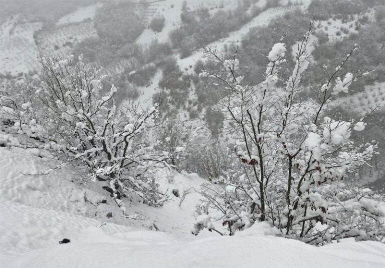 بارش برف در فریزهند نطنز رکورد زد/ ارتفاع برف به 70 سانتی‌متر رسید