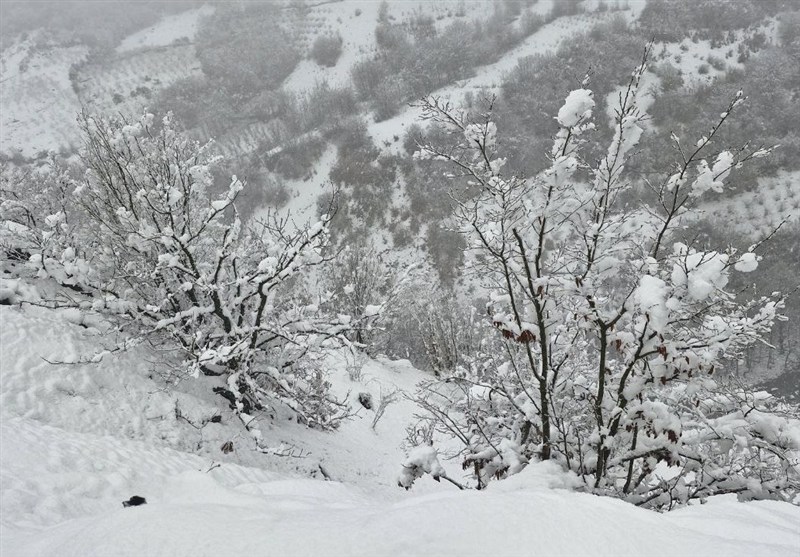 بارش برف در فریزهند نطنز رکورد زد/ ارتفاع برف به 70 سانتی‌متر رسید