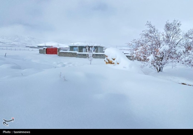 اخبار استان کهگیلویه و بویراحمد , 