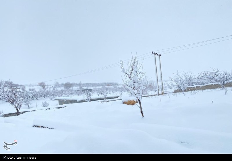 اخبار استان کهگیلویه و بویراحمد , 