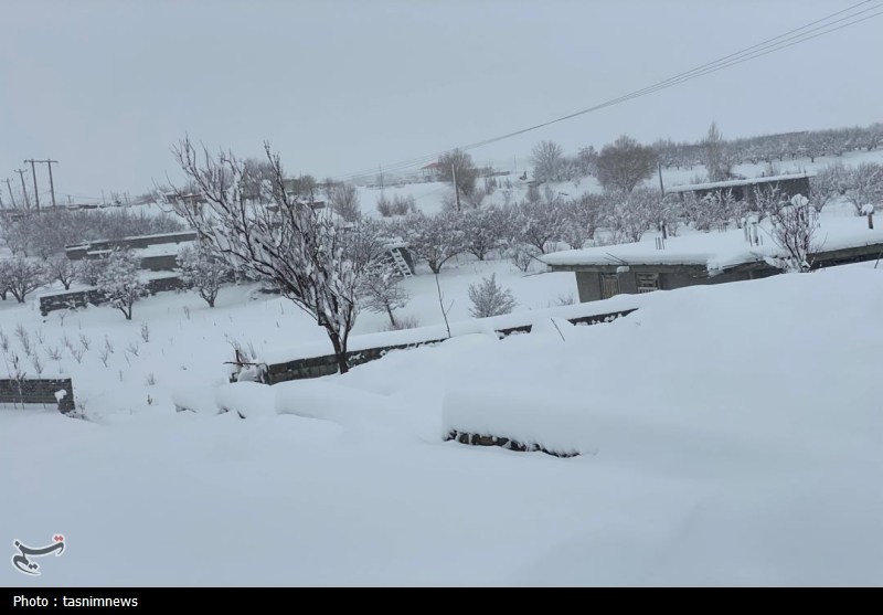 اخبار استان کهگیلویه و بویراحمد , 