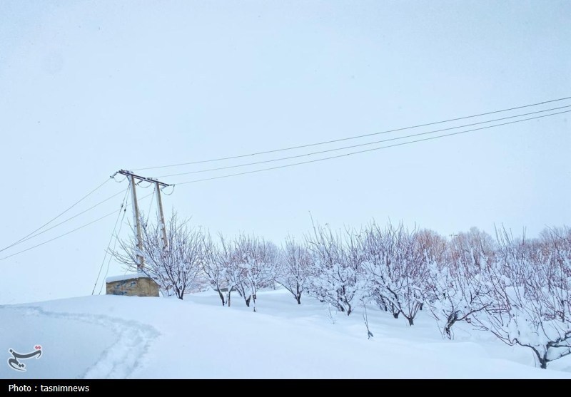 اخبار استان کهگیلویه و بویراحمد , 