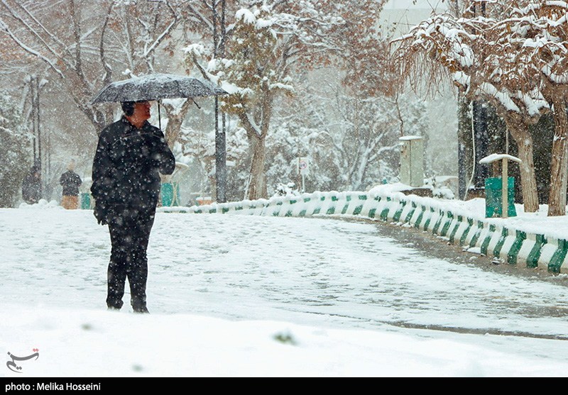 بالاخره تبریز سفیدپوش شد؛ پایان چشم‌انتظاری مردم با نخستین برف زمستانی