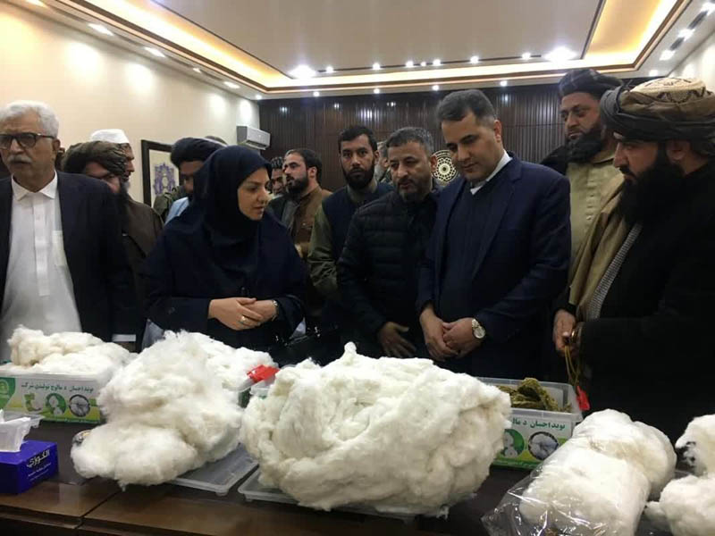 بررسی راهکارهای تسهیل تجارت محصولات زراعی افغانستان به ایران بررسی راهکارهای تسهیل تجارت محصولات زراعی افغانستان به ایران