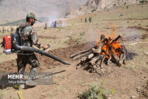 بسیج مردمی برای مهار آتش جنگل‌ها؛ آموزش جوامع محلی برای اطفای حریق
