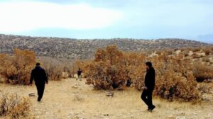 تخریب ۱۱ کوره زغال و کشف سه تن چوب بلوط در فیروزآباد