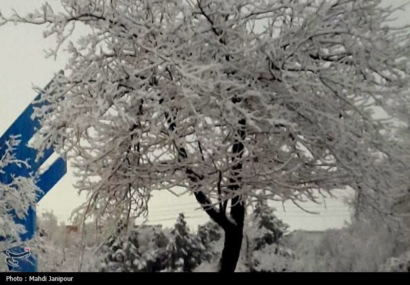 تداوم بارش‌های پراکنده برف و باران در یزد تا عصر امروز