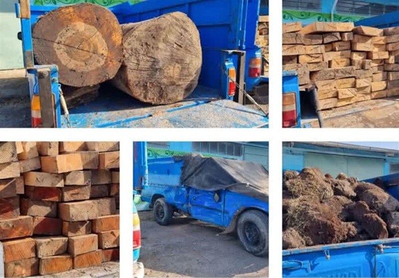 تشدید مقابله با قاچاق چوب در غرب مازندران