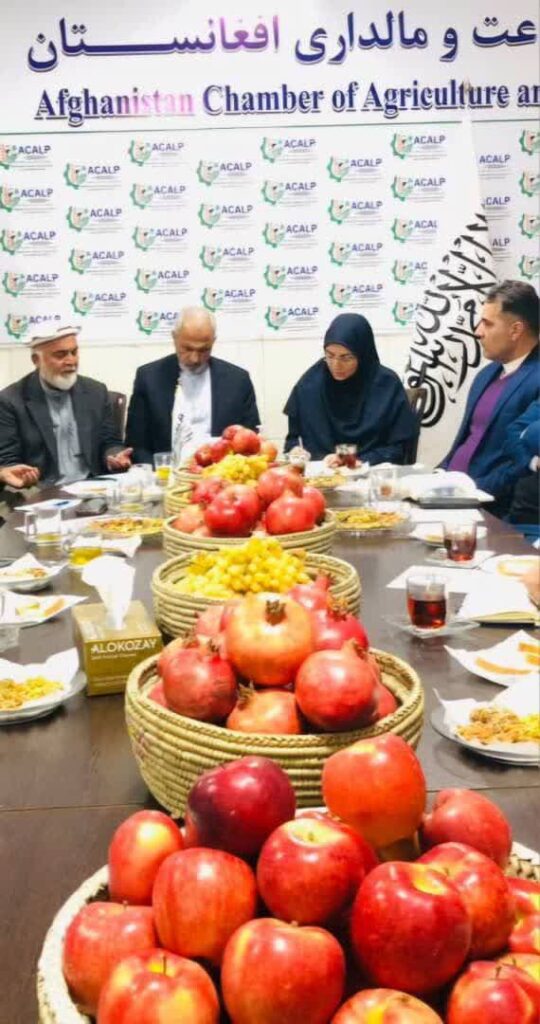 تقویت همکاری‌‌های ایران و افغانستان در حوزه قرنطینه و بهداشت گیاهی