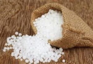 توزیع 29 هزار تن کود اوره در خراسان شمالی؛ گامی مؤثر برای افزایش تولید و امنیت غذایی