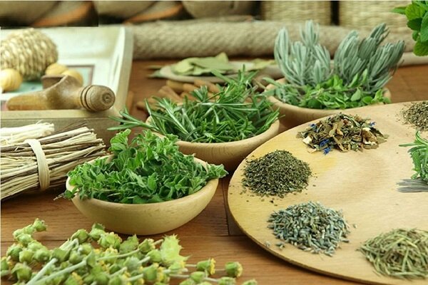 تولید گیاهان دارویی در استان هرمزگان به ۹ هزار تن رسید