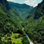 جنگلداری نوین با مشارکت جوامع محلی در برنامه هفتم شتاب می‌گیرد