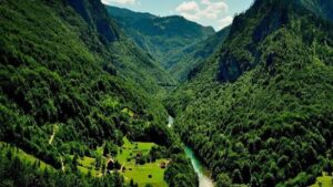 جنگلداری نوین با مشارکت جوامع محلی در برنامه هفتم شتاب می‌گیرد