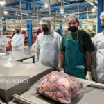 حسینی: سیستان‌ و بلوچستان یکی از محورهای تأمین گوشت قرمز کشور است