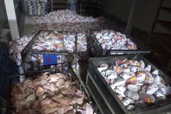 دامپزشکی: ۱۲۰۰ کیلوگرم مرغ غیرمجاز در دماوند توقیف شد