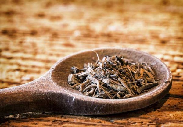 دردهای پس از زایمان را با «سنبل‌الطیب» درمان کنید