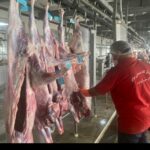 راه‌اندازی نخستین کشتارگاه صنعتی استان بوشهر به ظرفیت 320 راس دام+تصویر