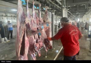 راه‌اندازی نخستین کشتارگاه صنعتی استان بوشهر به ظرفیت 320 راس دام+تصویر