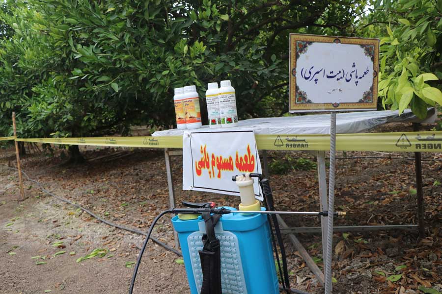 ردیابی و مدیریت آفت مگس میوه مدیترانه‌ای در باغ‌های بابل و قائم‌شهر