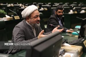 رسایی: مابه‌التفاوت قیمت واقعی و قیمت ترجیحی به مردم پرداخت شود