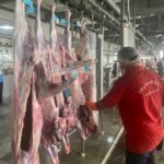 زنجیره سرد گوشت تا دورترین شهرستان‌های استان بوشهر