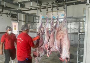 زنجیره سلامت گوشت قرمز در بوشهر زیر ذره‌بین دامپزشکی