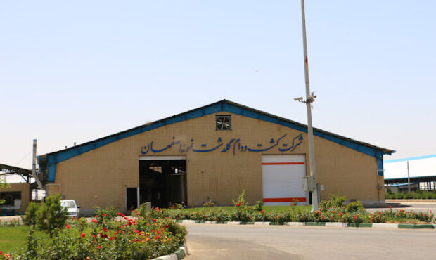 «زگلدشت» شرکتی کوچک اما با ثبات و سودآور +شمارش امواج