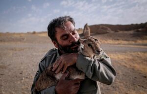 سازمان حفاظت محیط زیست 800 محیط‌بان جدید جذب کرد