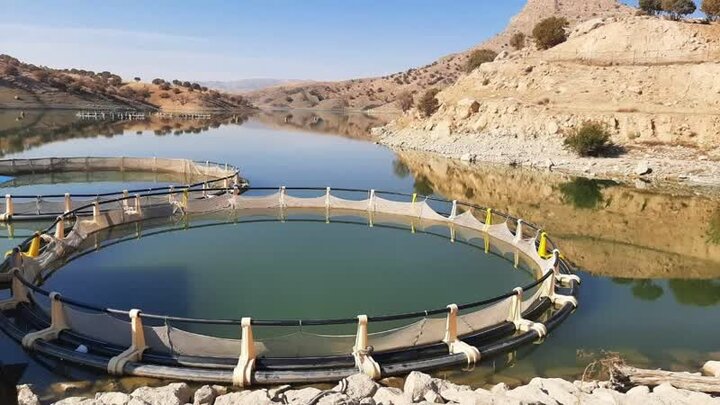 سد کشاورزی مجن ظرفیتی برای شیلات؛ شرایط میدانی بررسی شد