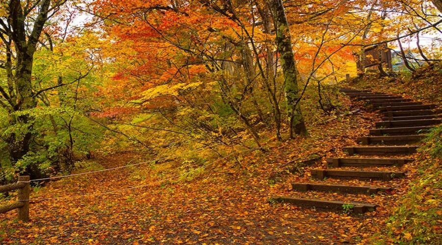 سفر پاییزی با خانواده؛ برنامه‌های خانوادگی و تفریحات پاییزی