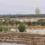 سیلاب‌های آذرماه 475 میلیارد به بخش کشاورزی بلوچستان خسارت زد