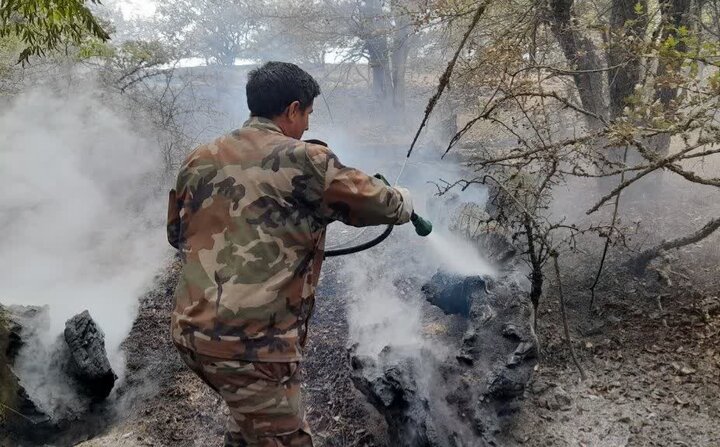 فرمانده یگان حفاظت: حریق‌های جنگلی کرمانشاه به‌شدت کاهش یافت