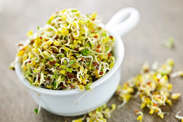 فکرش را هم نمی کنید این گیاه ضدکلسترول، ضد دیابت، ضدچاقی و پاک کننده کبد باشد