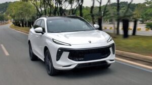 قیمت پایه لاماری ایما در بورس چقدر است؟ + جزییات نحوه سفارش