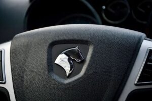 مجوز رسمی سازمان بورس برای عرضه خودرو در بورس کالا