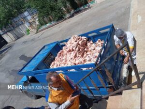 محمدپور: ۱۵ تن فرآورده دامی غیربهداشتی در سردشت کشف شد