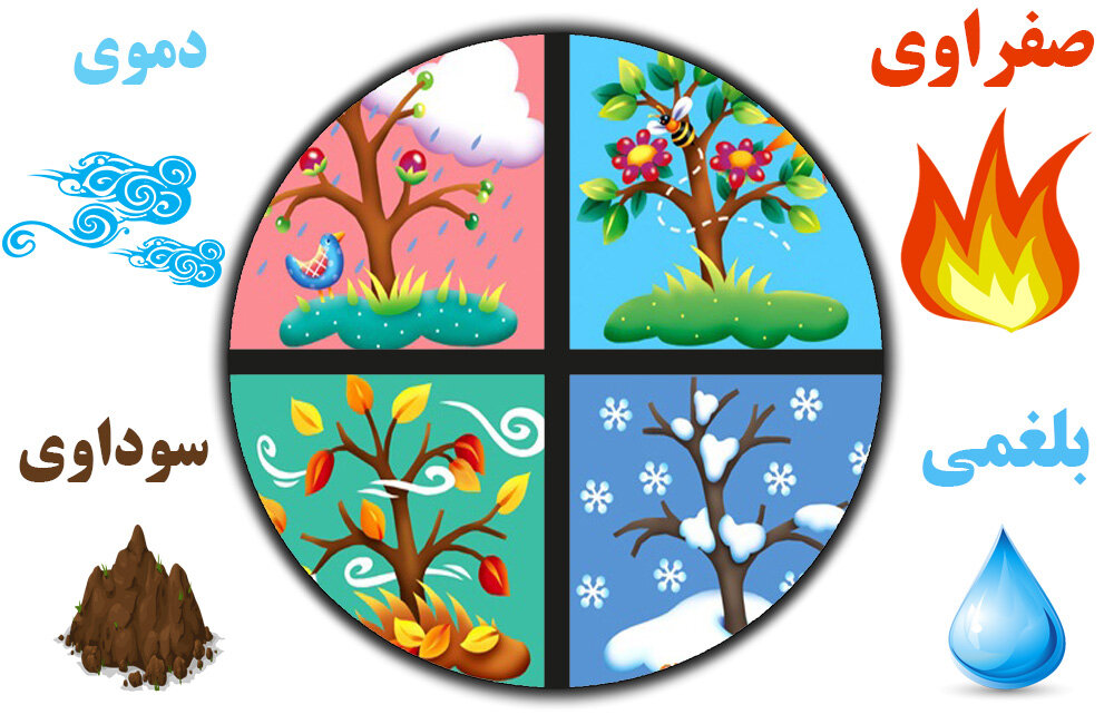 نظر طب سنتی درباره دلیل خواب دیدن های متفاوت/ دلیل دیدن کرم و هزارپا در خواب دلیل خوابهای رنگی چیست؟/ وجود کرم و هزارپا در خواب چه علتی دارد؟/ چرا برخی خوابها را از یاد میبریم؟