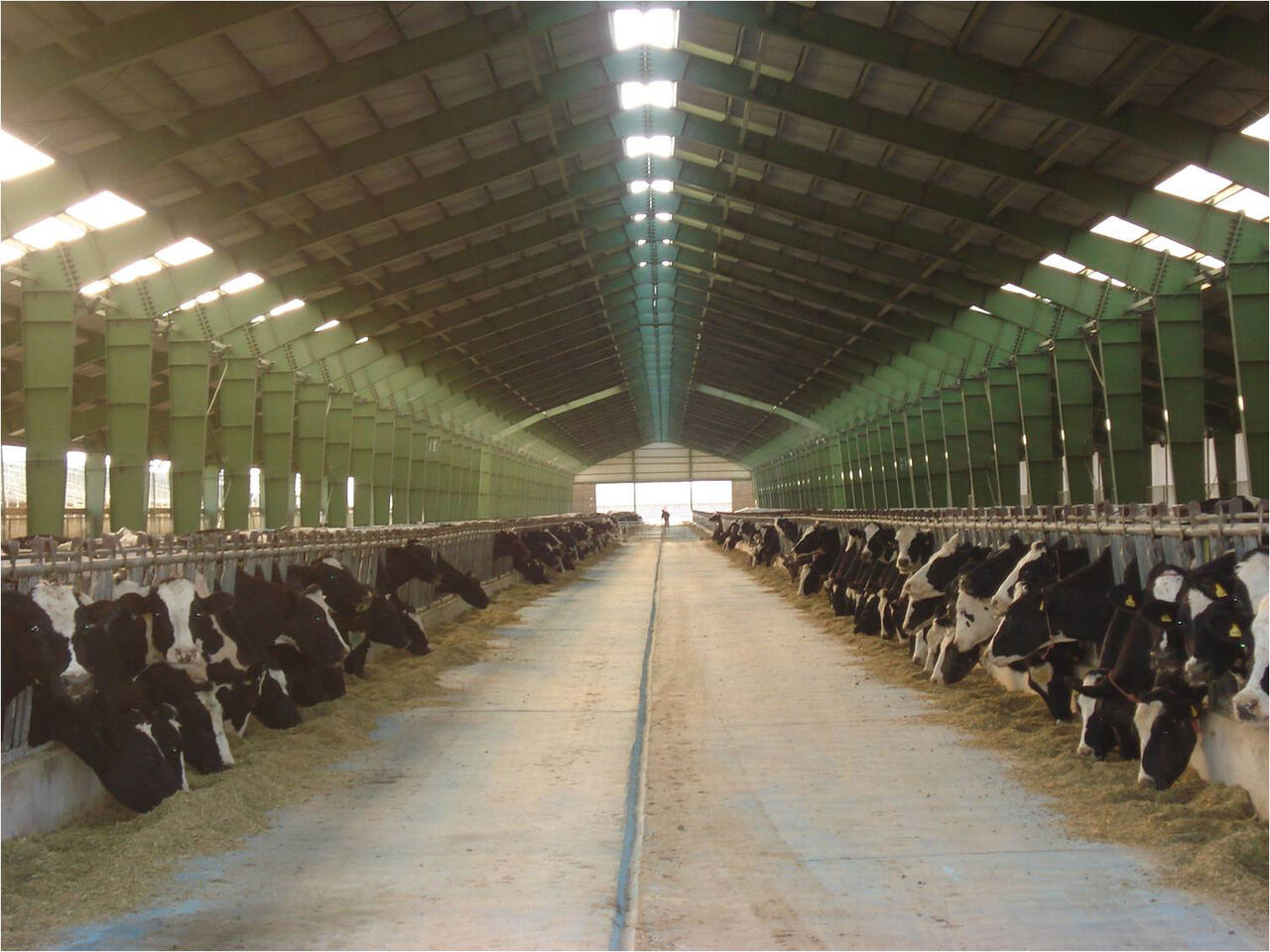 نگاهی تحلیلی به «زشگزا» از صنعت شیر و گوشت ایران