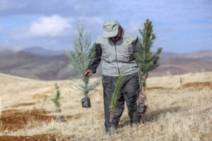 هدایت:پویش درختکاری «در سایه مادر» در اردبیل اجرا می‌شود