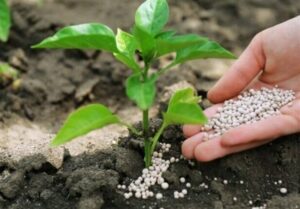 هسته‌ای در کشاورزی ــ 69 |کاربرد فناوری هسته‌ای در بهینه‌سازی مصرف کود کشاورزی