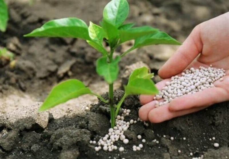 هسته‌ای در کشاورزی ــ 69 |کاربرد فناوری هسته‌ای در بهینه‌سازی مصرف کود کشاورزی