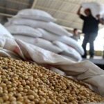 کاربرد فناوری هسته‌ای در جلوگیری از فساد سویا در انبار