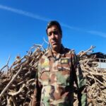 کشف ۲۳ تن چوب قاچاق در شهرستان سرایان